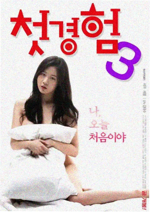 韩剧首尔夜未眠在线观看海报