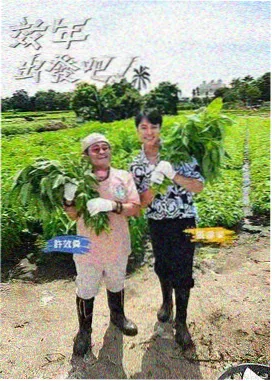 奔跑吧首尔韩国综艺在线看